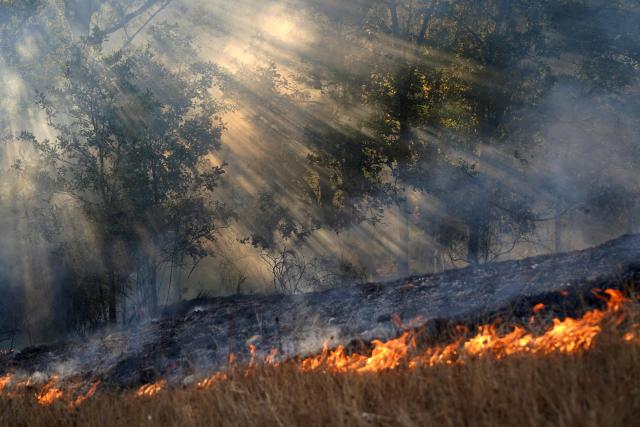 (FILES) Sun rays pierce through smoke drifting among trees during a wildfire in Garano, northwestern Spain, on August 25, 2025. Global economic losses from natural disasters are projected to have dropped by 33 percent to $220 billion in 2025, despite the damage wrought by the Los Angeles wildfires, reinsurer Swiss Re said on December 16, 2025. The total cost of insured losses from natural catastrophes is estimated at $107 billion, down 24 percent from the previous year, the Zurich-based reinsurance giant said in its preliminary estimates for 2025. (Photo by Cesar MANSO / AFP)