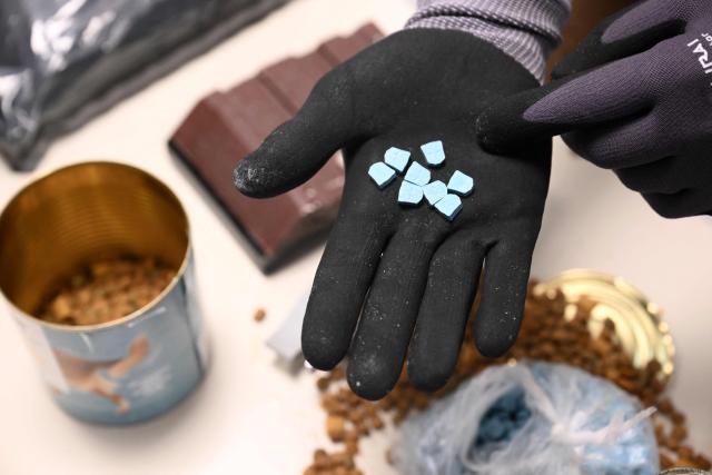 A customs officer displays ecstasy pills (MDMA) hidden in a dog food can seized by customs officers at Brussels Airport (Zaventem), during a press conference intended to present an overview of drug seizures in 2025, in Machelen on December 16, 2025. (Photo by Nicolas TUCAT / AFP)