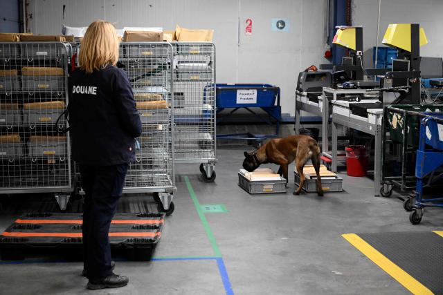 A customs officer stands while a specialized K-9 unit dog searches for narcotics in a postal warehouse, during a press conference intended to present an overview of drug seizures in 2025, in Machelen on December 16, 2025. (Photo by Nicolas TUCAT / AFP)