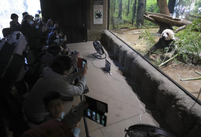 This picture taken on December 16, 2025 shows people taking photographs of giant panda 'Lei Lei' which was announced to be returned to China, at Ueno Zoo in Tokyo. Two pandas at a Tokyo zoo will be returned to China in January, the Tokyo government said on Monday, potentially leaving Japan without the beloved animals for the first time in half a century. (Photo by JIJI PRESS / AFP) / Japan OUT