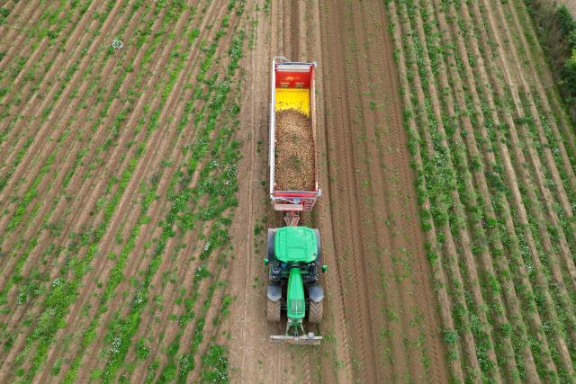(FILES) This aerial photograph shows a potato harvester tractor of an agricultural cooperative in a field during harvest near Geer, eastern Belgium on September 26, 2025. The European Commission announced on December 17, 2025 that it would adjust its carbon border tax on imported fertilizers in order to avoid price increases at a time of agricultural crisis. (Photo by Nicolas TUCAT / AFP)