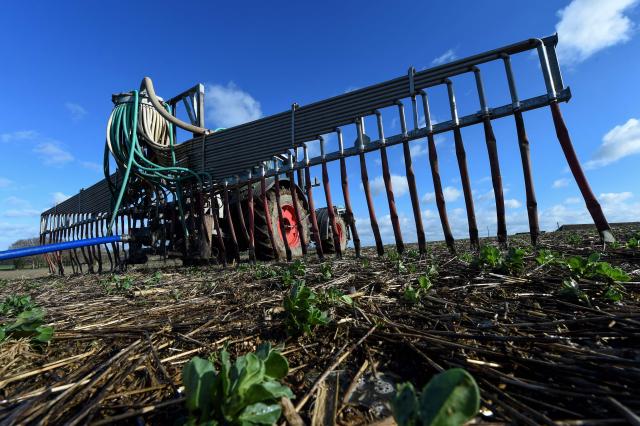 (FILES) French farmer Nicolas Denieul spreads manure from his pig farming on the field, using a tractor linked to a buried pipeline, in Saint Germain Sur Sarthe, northwestern France, on February 4, 2020. The European Commission announced on December 17, 2025 that it would adjust its carbon border tax on imported fertilizers in order to avoid price increases at a time of agricultural crisis. (Photo by JEAN-FRANCOIS MONIER / AFP)