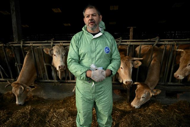 A veterinarian holds a vaccine dosing gun in front of cows during a vaccination campaign against lumpy skin disease on December 17, 2025 at a farm in Riupeyrous, as France launched a mandatory vaccination campaign in mid-December 2025 to inoculate approximately one million cattle in south-western regions following over 110 outbreaks of the insect-borne viral disease since its first detection on June 29, 2025, amid farmer protests over government-ordered culling of entire infected herds. (Photo by Philippe LOPEZ / AFP)