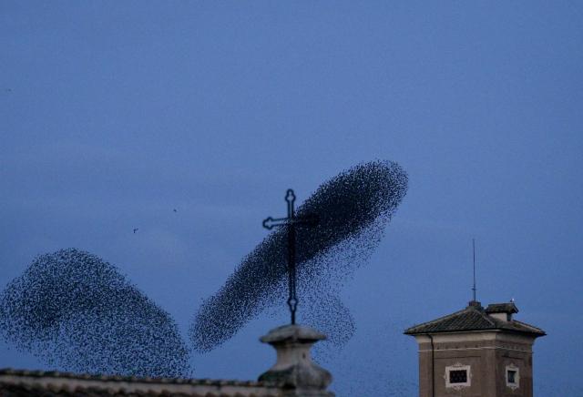 Starlings fly in murmuration above the roofs of Rome at sunset on December 17, 2025. (Photo by Tiziana FABI / AFP)