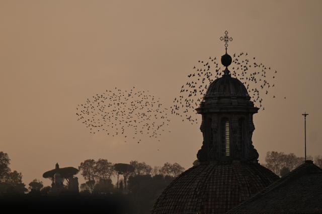 Starlings fly in murmuration above the roofs of Rome at sunset on December 17, 2025. (Photo by Tiziana FABI / AFP)