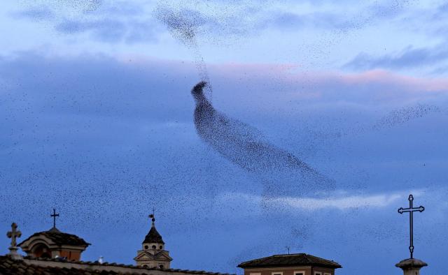 Starlings fly in murmuration above the roofs of Rome at sunset on December 17, 2025. (Photo by Tiziana FABI / AFP)