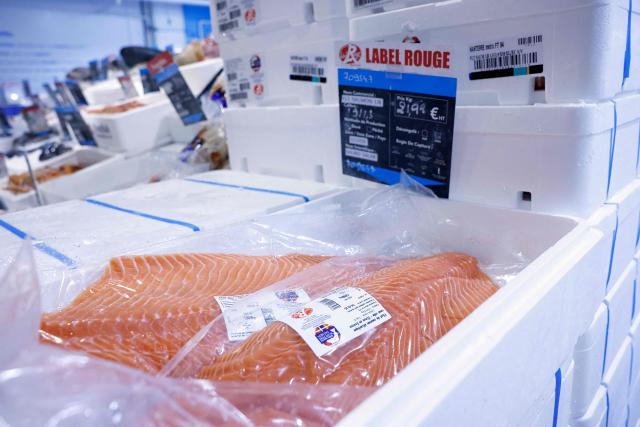 This photograph shows a side of salmon displayed at the multinational wholesale chain 'Metro' flagship store in Nanterre during a press visit, in western Paris, on December 17, 2025. (Photo by Charlotte SIEMON / AFP)