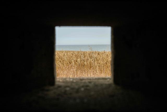 A photograph taken on July 17, 2025 shows an arable field seen from the interior of a World War pillbox adjacent to the North Sea coast that is undergoing coastal erosion, near the village of Skipsea, near Bridlington, in the East Riding of Yorkshire, north eastern England. The Holderness coastline, covering 61km between the Spurn nature reserve in the south and Flamborough in the north, experiences one of the fastest rates of erosion in Europe. The Holderness cliffs are eroding at average rate of around 1.5 metres per year, although individual cliff losses can exceed 20 metres per year. Over the last 1000 years, the coast has retreated by around 2 kilometres, resulting in the destruction of 26 villages listed in the Domesday survey of 1086. (Photo by Oli SCARFF / AFP)