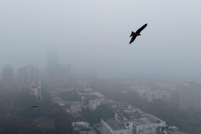 An aerial view shows an eagle flying past buildings engulfed in dense smog in New Delhi on December 18, 2025. (Photo by Arun SANKAR / AFP)