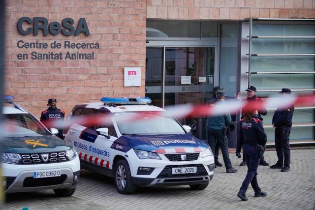 Catalan Police (Mossos d'Esquadra) and Spanish civil guards stand guard outside an animal laboratory as part of a judicial investigation to determine the origin of an outbreak of African swine fever in Bellaterra, outside Barcelona on December 18, 2025. "The Civil Guard and the Mossos d'Esquadra (Catalan police) are carrying out a search and seizure this morning at the IRTA-CRESA laboratory," both forces stated in separate press releases, specifying that the actions were ordered by an investigating judge who declared the proceedings "secret."
IRTA-CRESA is a laboratory located a few kilometers from the wooded area in the Barcelona metropolitan area where the first dead wild boars that tested positive for African swine fever appeared in late November, in the first outbreak of the disease identified in Spain since 1994. (Photo by Manaure Quintero / AFP)