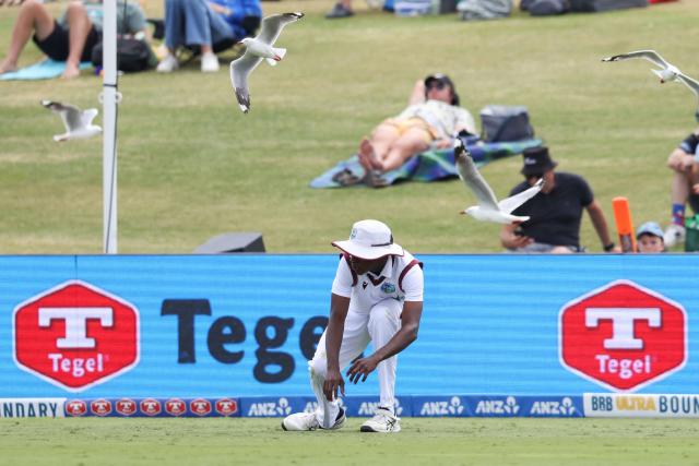 West Indies Johann Layne looks to duck the seagulls during day two of the 3rd international Test cricket match between New Zealand and West Indies at Bay Oval in Mount Maunganui on December 19, 2025. (Photo by Michael Bradley / AFP)