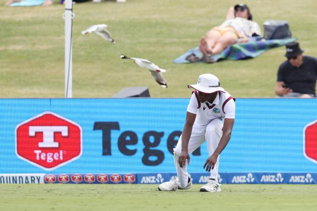 TOPSHOT - West Indies' Johann Layne looks to duck the seagulls during day two of the 3rd international Test cricket match between New Zealand and West Indies at Bay Oval in Mount Maunganui on December 19, 2025. (Photo by Michael Bradley / AFP)