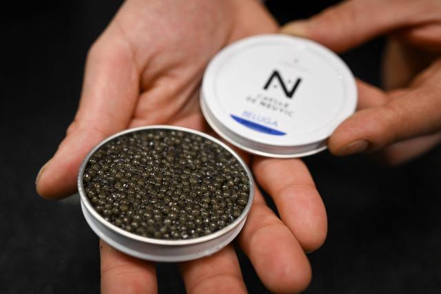 An employee shows an opened box of caviar at the Caviar de Neuvic boutique in Paris on December 11, 2025. A pioneer in Bulgarian caviar production has to go the extra mile ahead of the festive season to whet appetites for his beluga caviar, striving to meet demand from all over the world, as November and December are the busiest months for Mateev on the southern Bulgarian Kardzhali lake in the heart of the Rhodope Mountains, the alleged birthplace of the mythical Orpheus. (Photo by Nikolay DOYCHINOV / AFP)