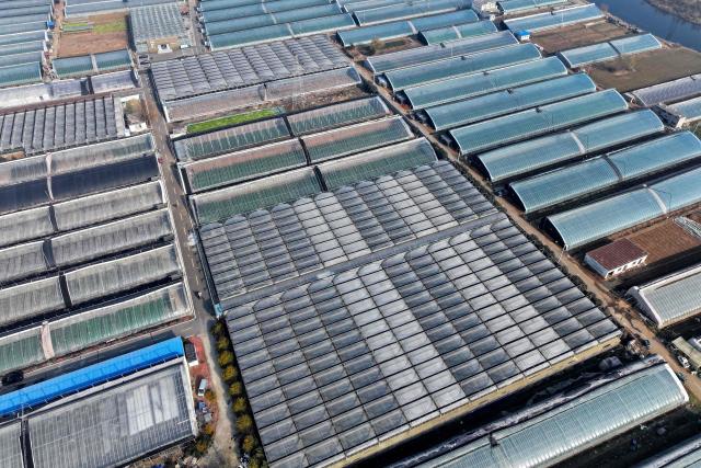 This aerial picture shows various plastic covers for greenhouses to grow plants during winter in Zaozhuang, eastern China's Shandong province on December 17, 2025. (Photo by AFP) / China OUT
