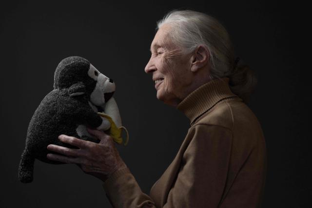 (FILES) British ethologist and primatologist Jane Goodall poses with her mascott "Mister H" during a photo session on October 18, 2024 in Paris. (Photo by JOEL SAGET / AFP)