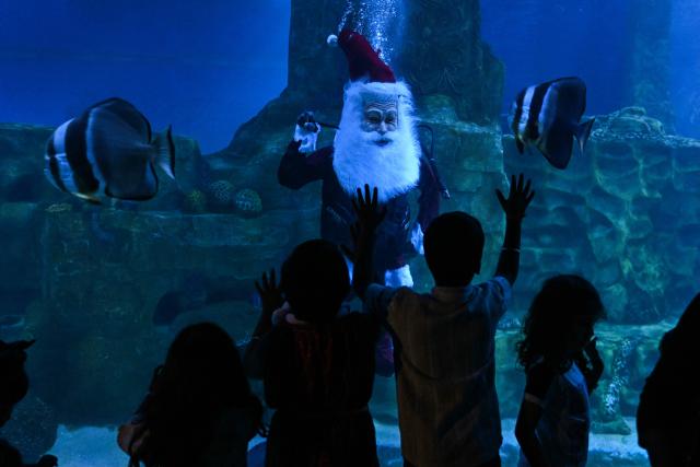 A scuba diver dressed as Santa Claus performs at the Marine Aquarium ahead of Christmas celebrations in Chennai on December 22, 2025. (Photo by R. Satish BABU / AFP)