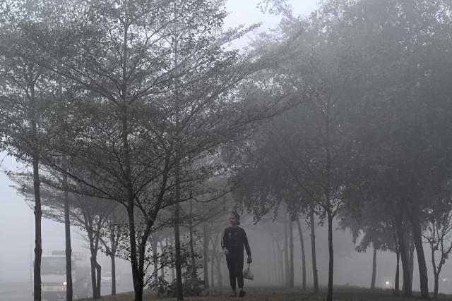A boy walks on a tree-lined path amid dense smog in Lahore on December 23, 2025. (Photo by Arif ALI / AFP)