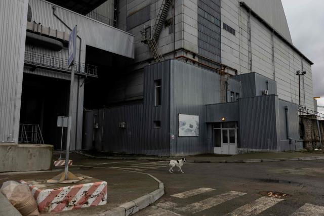 A stray dog is standing near damaged panels from the containment vessel following a drone attack on February 14, 2025, on the New Safe Confinement (NSC) which contains radiation from the remains of reactor 4 of the former Chernobyl Nuclear Power Plant, in Chernobyl, on December 22, 2025, amid the Russian invasion of Ukraine. The Chernobyl Nuclear Power Plant director said on December 23, 2025, fully restoring the internal radiation shelter could take three to four years, after a hit earlier this year punched a hole in the outer radiation shell, triggering a warning from the International Atomic Energy Agency (IAEA) that it had "lost its primary safety functions." And warned that another Russian hit could see the inner shell collapse. (Photo by Tetiana DZHAFAROVA / AFP)