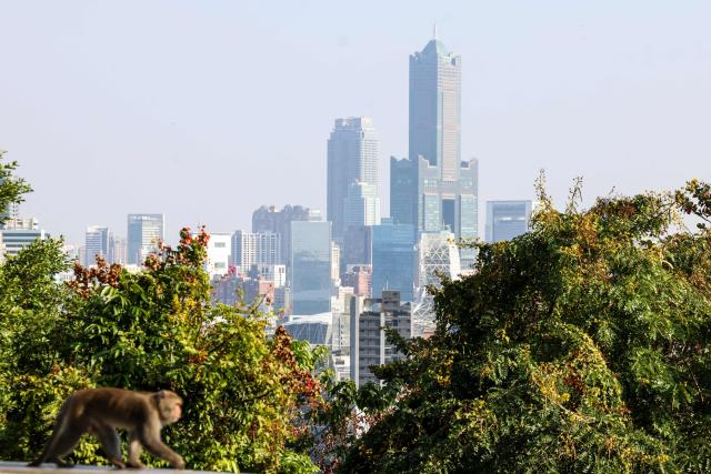 The Kaohsiung downtown is seen from a mountain in Kaohsiung on December 23, 2025. (Photo by I-Hwa Cheng / AFP)