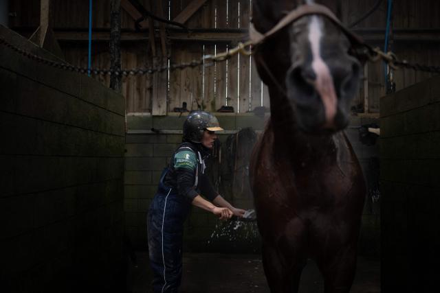 French drivers Delphine Ernault bathes horse Josh Power after a training session at the Le Long Bois in Saint-Come-du-Mont, northwestern France on December 23, 2025. Horse Josh Power has qualified, and is one of the favorites, for the 105th edition of the Prix d'Amerique, which will be held at the Paris-Vincennes racecourse on January 25, 2026. (Photo by LOU BENOIST / AFP)