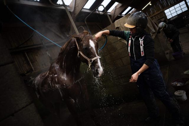 French drivers Delphine Ernault bathes horse Josh Power after a training session at the Le Long Bois in Saint-Come-du-Mont, northwestern France on December 23, 2025. Horse Josh Power has qualified, and is one of the favorites, for the 105th edition of the Prix d'Amerique, which will be held at the Paris-Vincennes racecourse on January 25, 2026. (Photo by LOU BENOIST / AFP)