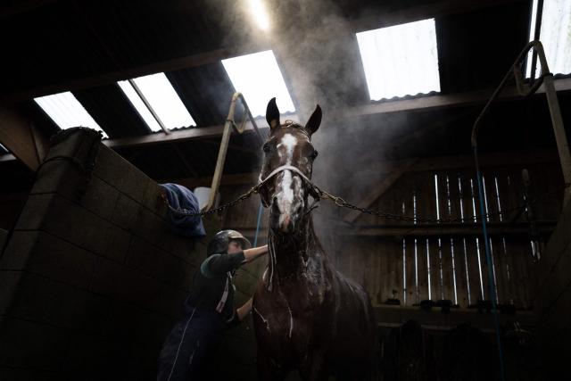 French drivers Delphine Ernault bathes horse Josh Power after a training session at the Le Long Bois in Saint-Come-du-Mont, northwestern France on December 23, 2025. Horse Josh Power has qualified, and is one of the favorites, for the 105th edition of the Prix d'Amerique, which will be held at the Paris-Vincennes racecourse on January 25, 2026. (Photo by LOU BENOIST / AFP)