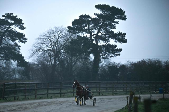 French driver and trainer Sebastien Ernault rides horse Josh Power during a training session at the Le Long Bois in Saint-Come-du-Mont, northwestern France on December 23, 2025. Horse Josh Power has qualified, and is one of the favorites, for the 105th edition of the Prix d'Amerique, which will be held at the Paris-Vincennes racecourse on January 25, 2026. (Photo by LOU BENOIST / AFP)