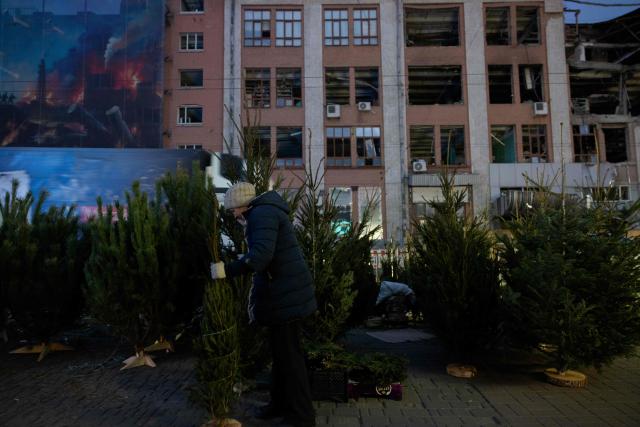 A woman carries a Fir Tree better known as a Christmas tree at a street market near damaged buildings in Kyiv on Christmas Eve celebrations on December 24, 2025, amid the Russian invasion of Ukraine. (Photo by Tetiana DZHAFAROVA / AFP)