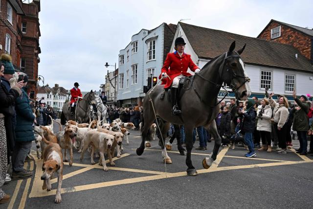 Members of the Southdown and Eridge with East Sussex and Romney Marsh trail hunting pack pass along Lewes high street, in the south of England during the Boxing Day hunt on December 26, 2025. (Photo by GLYN KIRK / AFP)