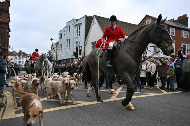 Members of the Southdown and Eridge with East Sussex and Romney Marsh trail hunting pack pass along Lewes high street, in the south of England during the Boxing Day hunt on December 26, 2025. (Photo by GLYN KIRK / AFP)