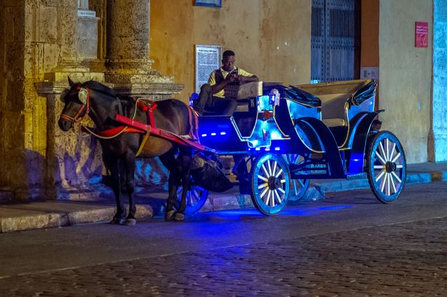 (FILES) A coachman in his horse-drawn carriage waits for customers at the historic center of Cartagena, Colombia, on March 07, 2025. Traditional horse-drawn carriages will be banned starting December 29, 2025, in Cartagena, a tourist jewel of Colombia, the local mayor announced on December 26. (Photo by Manuel PEDRAZA / AFP)