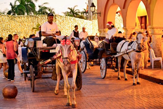 Coachmen with their horse-drawn carriages tour the historic center of Cartagena, Colombia, on December 26, 2025. Traditional horse-drawn carriages will be banned starting December 29, 2025, in Cartagena, a tourist jewel of Colombia, the local mayor announced on December 26. (Photo by Manuel PEDRAZA / AFP)