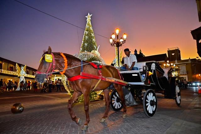 A coachman with his horse-drawn carriage tours the historic center of Cartagena, Colombia, on December 26, 2025. Traditional horse-drawn carriages will be banned starting December 29, 2025, in Cartagena, a tourist jewel of Colombia, the local mayor announced on December 26. (Photo by Manuel PEDRAZA / AFP)