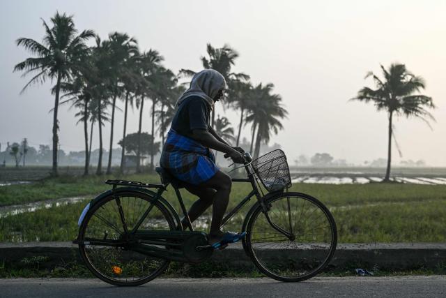 A cyclist rides past a paddy field on the outskirts of Chennai on December 27, 2025. (Photo by R. Satish BABU / AFP)