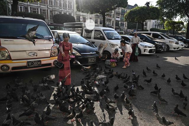 People feed pigeons on a street in Yangon on December 27, 2025, a day before the start of Myanmar's general election. (Photo by Lillian SUWANRUMPHA / AFP)