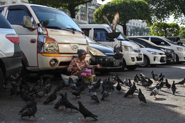 A woman feeds pigeons on a street in Yangon on December 27, 2025, a day before the start of Myanmar's general election. (Photo by NHAC NGUYEN / AFP)
