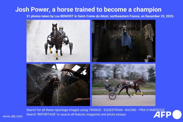 AFP presents a reportage of 31 pictures taken by photographer Lou Benoist on December 23, 2025 showing Horse Josh Power during a training session at "Le Long Bois" in Saint-Come-du-Mont, northwestern France. Horse Josh Power has qualified and is one of the favorites for the 105th edition of the Prix d'Amerique, which will be held at the Paris-Vincennes racecourse on January 25, 2026.

Search for all these reportage images using: FRANCE-EQUESTRIAN-RACING-PRIX D'AMERIQUE

Search 'REPORTAGE' to source all feature, magazine and photo essays. (Photo by LOU BENOIST / AFP)