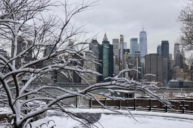 A view of the skyline of Lower Manhattan and snow covered branches in New York City on December 27, 2025. New York City receieved around 4 inches (10 centimeters) of snow overnight. Airlines canceled 1,500 US flights during the peak holiday travel period Friday, with severe winter storm warnings and heavy snow forecast across parts of the Midwest and northeast. (Photo by ANGELA WEISS / AFP)