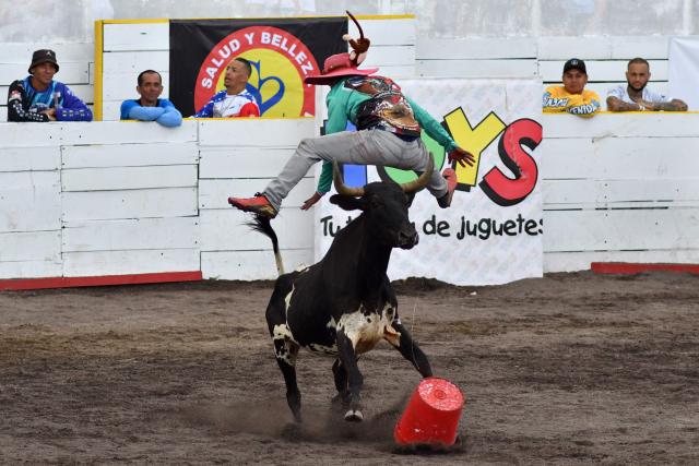 A man is charged by a bull during the “Toros a la Tica” festival (Costa Rican-style bullfighting) in San Josй, on December 27, 2025. (Photo by EZEQUIEL BECERRA / AFP)