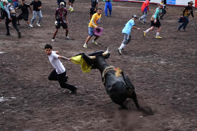 A man is charged by a bull during the “Toros a la Tica” festival (Costa Rican-style bullfighting) in San Josй, on December 27, 2025. (Photo by EZEQUIEL BECERRA / AFP)