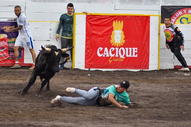 A man is charged by a bull during the “Toros a la Tica” festival (Costa Rican-style bullfighting) in San Josй, on December 27, 2025. (Photo by EZEQUIEL BECERRA / AFP)