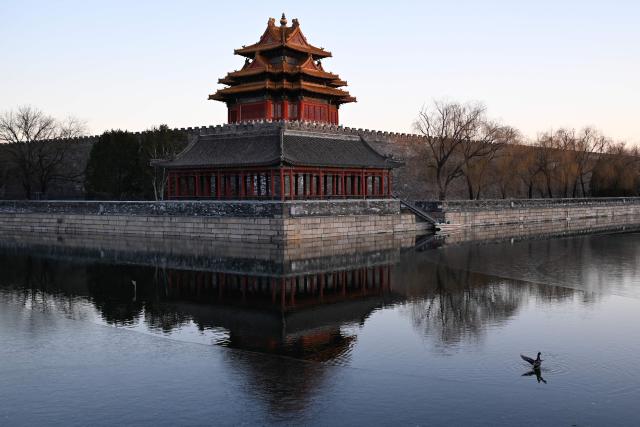 TOPSHOT - A duck flaps its wings in a moat outside the Forbidden City in Beijing on December 29, 2025. (Photo by WANG Zhao / AFP)