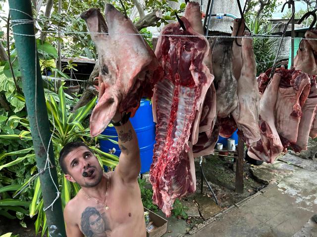 A man touches the head of a butchered pig hanging from a hook ahead of New Year's Eve dinner, which in Cuba typically revolves around roast pork, in Cabañas, a town 70 Km west of Havana, on December 30, 2025. (Photo by Yamil LAGE / AFP)