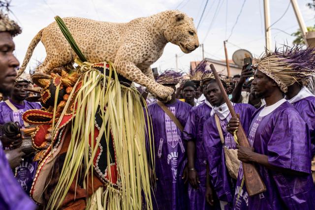 Members of the "Odilleh" Hunting Society carry a taxidermied leopard in the streets ahead of the annual New Years Hunting Festival in Banjul on January 1, 2026. Deeply rooted in tradition, the festival has become a cherished New Year celebration in The Gambia, marked by music, dancing, and vibrant masquerades. Held in the capital city, Banjul, the event features a friendly yet fierce competition among hunting societies Ekun Baba, Odilleh, and the recently joined Gun Shot Hunting Society as they showcase striking animal head displays, masks, and elaborate costumes. (Photo by Muhamadou BITTAYE / AFP)