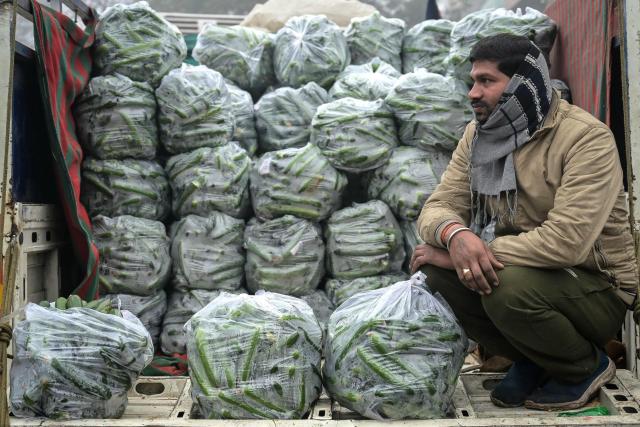 A vendor selling cucumber waits for customers at a vegetable market on a cold winter's day in Amritsar on January 3, 2026. (Photo by Narinder NANU / AFP)