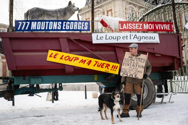 A protester with placards reading (from L) "777 slaughtered sheep", "The wolf killed me!!!", "The wolf and the land", "Lead us not into temptation, but deliver us from evil" and "Let me live" takes part in a protest of French farmers against the presence of wolves and their predation on sheep herds in the Haute-Marne department, in Chaumont, eastern France, on January 3, 2026. The number of attacks on sheep in the Haute-Marne skyrocketed in 2025, with 191 attacks resulting in more than 800 victims being attributed to wolves, compared to only 10 attacks in 2024, according to the department's prefecture. (Photo by ARNAUD FINISTRE / AFP)