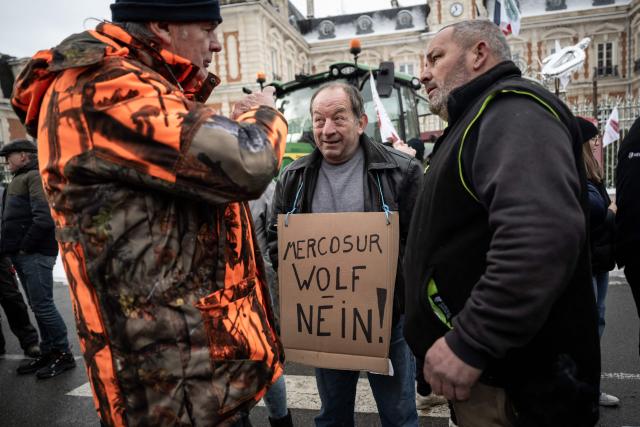 A protester with a placard reading "Mercosur, Wolf, No!" takes part in a protest of French farmers against the presence of wolves and their predation on sheep herds in the Haute-Marne department, in Chaumont, eastern France, on January 3, 2026. The number of attacks on sheep in the Haute-Marne skyrocketed in 2025, with 191 attacks resulting in more than 800 victims being attributed to wolves, compared to only 10 attacks in 2024, according to the department's prefecture. (Photo by ARNAUD FINISTRE / AFP)