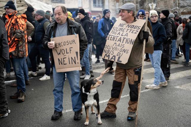 Protesters with placards reading "Mercosur, Wolf, No!" and "Lead us not into temptation, but deliver us from evil" take part in a protest of French farmers against the presence of wolves and their predation on sheep herds in the Haute-Marne, outside the department's prefecture in Chaumont, eastern France, on January 3, 2026. The number of attacks on sheep in the Haute-Marne skyrocketed in 2025, with 191 attacks resulting in more than 800 victims being attributed to wolves, compared to only 10 attacks in 2024, according to the department's prefecture. (Photo by ARNAUD FINISTRE / AFP)