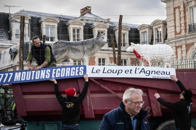 Protesters put up signs on a tractor reading "777 slaughtered sheep" and "The wolf and the lamb" as they take part in a protest of French farmers against the presence of wolves and their predation on sheep herds in the Haute-Marne department, in Chaumont, eastern France, on January 3, 2026. The number of attacks on sheep in the Haute-Marne skyrocketed in 2025, with 191 attacks resulting in more than 800 victims being attributed to wolves, compared to only 10 attacks in 2024, according to the department's prefecture. (Photo by ARNAUD FINISTRE / AFP)