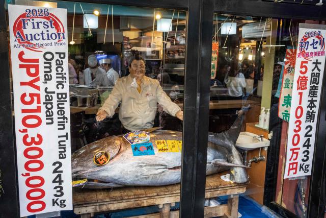 A 243-kilogram bluefin tuna that fetched 510.3 million yen (3.3 million USD) is displayed at the sushi restaurant 'Sushizanmai' in Tokyo on January 5, 2026 after the New Year's auction at Toyosu fish market. (Photo by Yuichi YAMAZAKI / AFP)